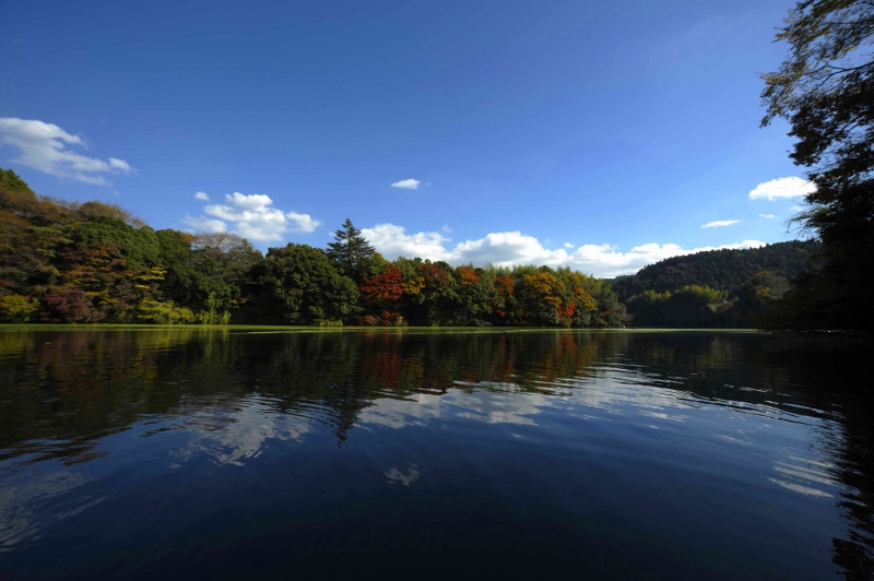 今年の紅葉は亀山湖
